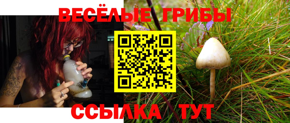 Саратов  Псилоцибиновые грибы Psilocybe  что такое   Галлюциногенные грибы мицелий  Вход с VPN 